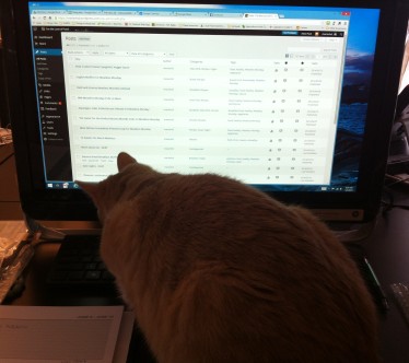 cat, computer, so helpful